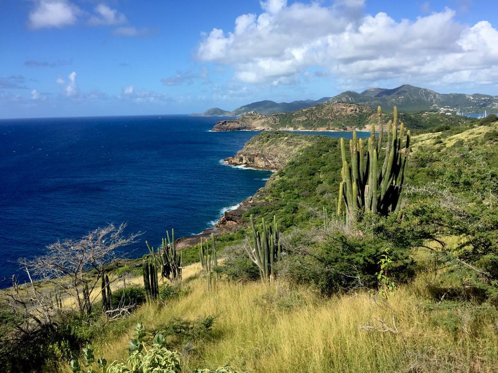 Blue Moon Antigua Villa English Harbour Exterior photo